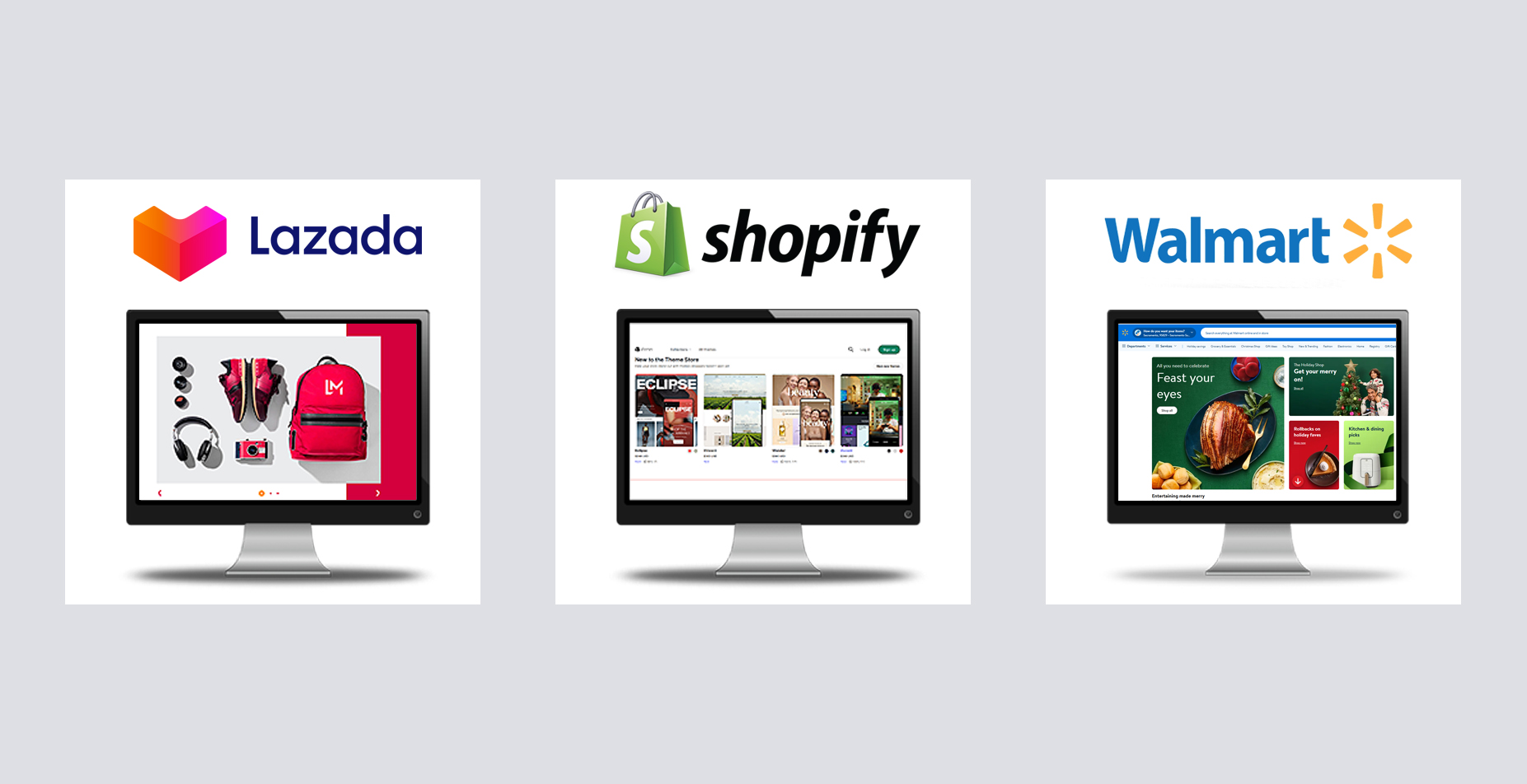 Web and CMS Development